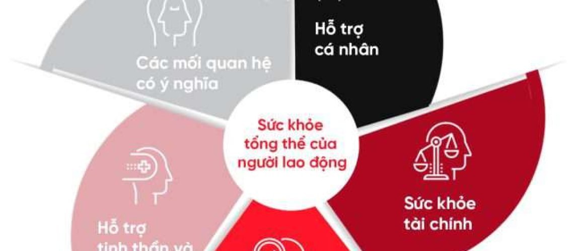 Hình 2 - tiếng Việt