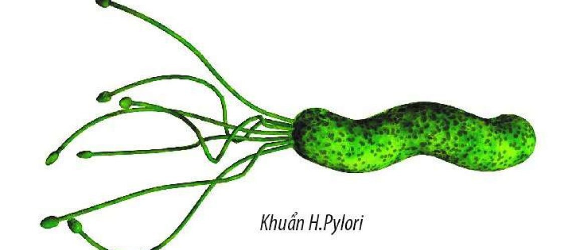 ti-le-nhiem-hp-tai-viet-nam